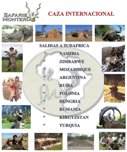 Caza Internacional